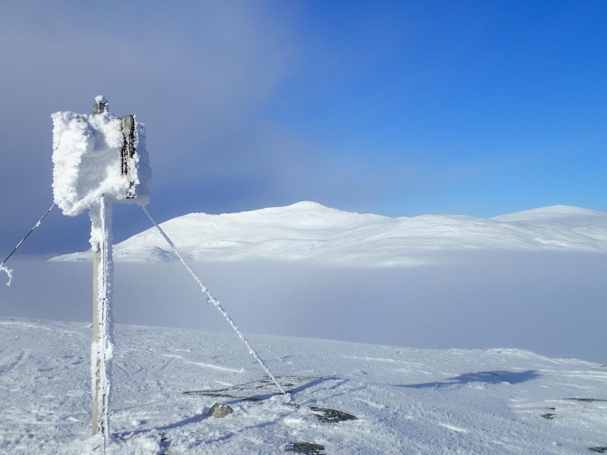 شقة Sulseter Fjellstugu فينسترا المظهر الخارجي الصورة