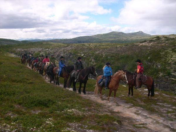شقة Sulseter Fjellstugu فينسترا المظهر الخارجي الصورة