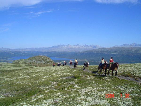 شقة Sulseter Fjellstugu فينسترا المظهر الخارجي الصورة