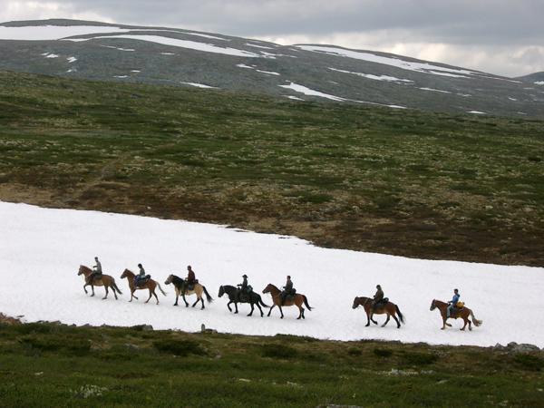 شقة Sulseter Fjellstugu فينسترا المظهر الخارجي الصورة